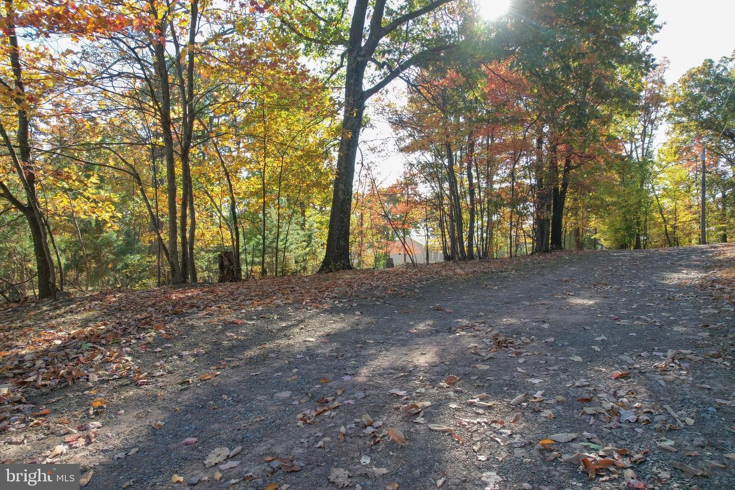 757 Pee Wee Lane photo 50