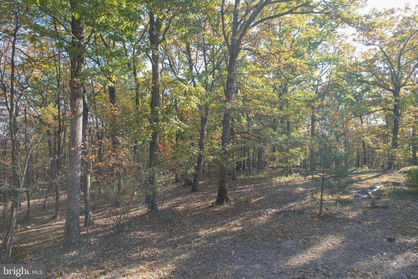 757 Pee Wee Lane photo 56