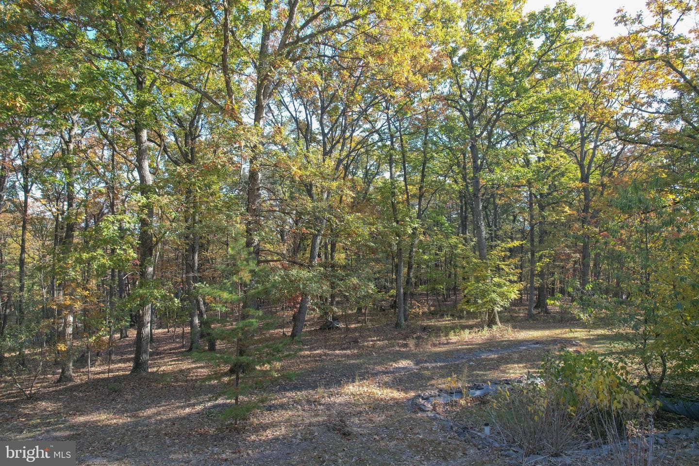 757 Pee Wee Lane photo 57