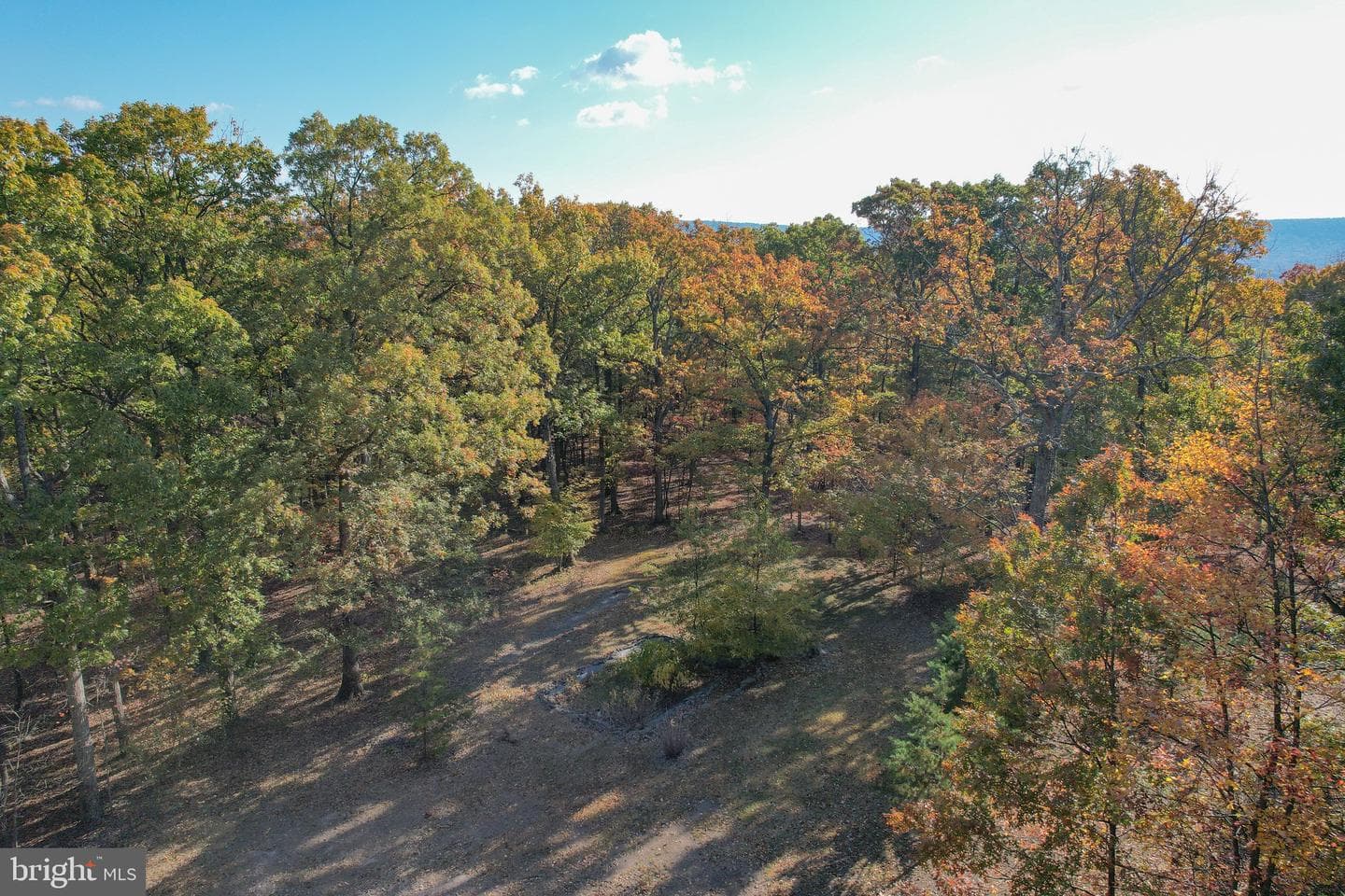 757 Pee Wee Lane photo 59