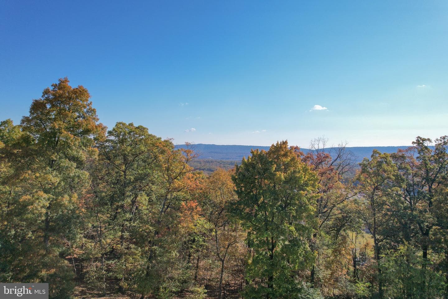 757 Pee Wee Lane photo 64