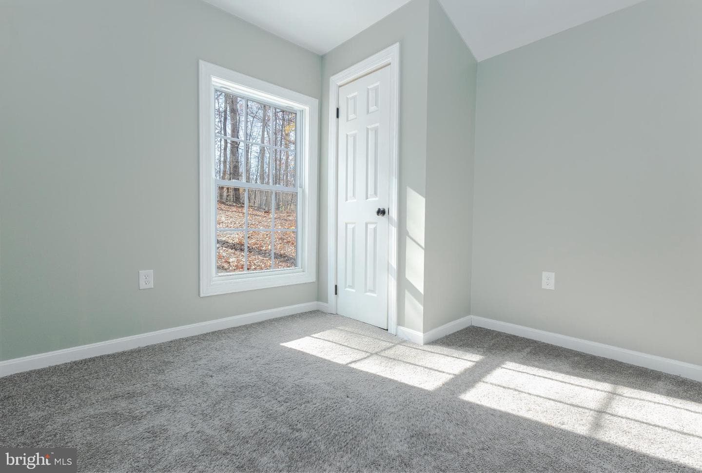 56 Chipmunk Lane photo 16