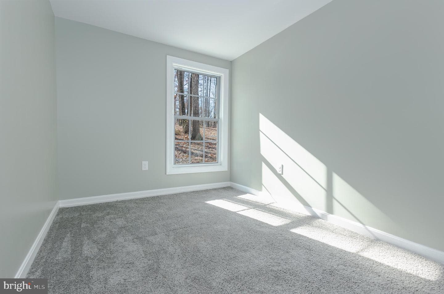 56 Chipmunk Lane photo 17