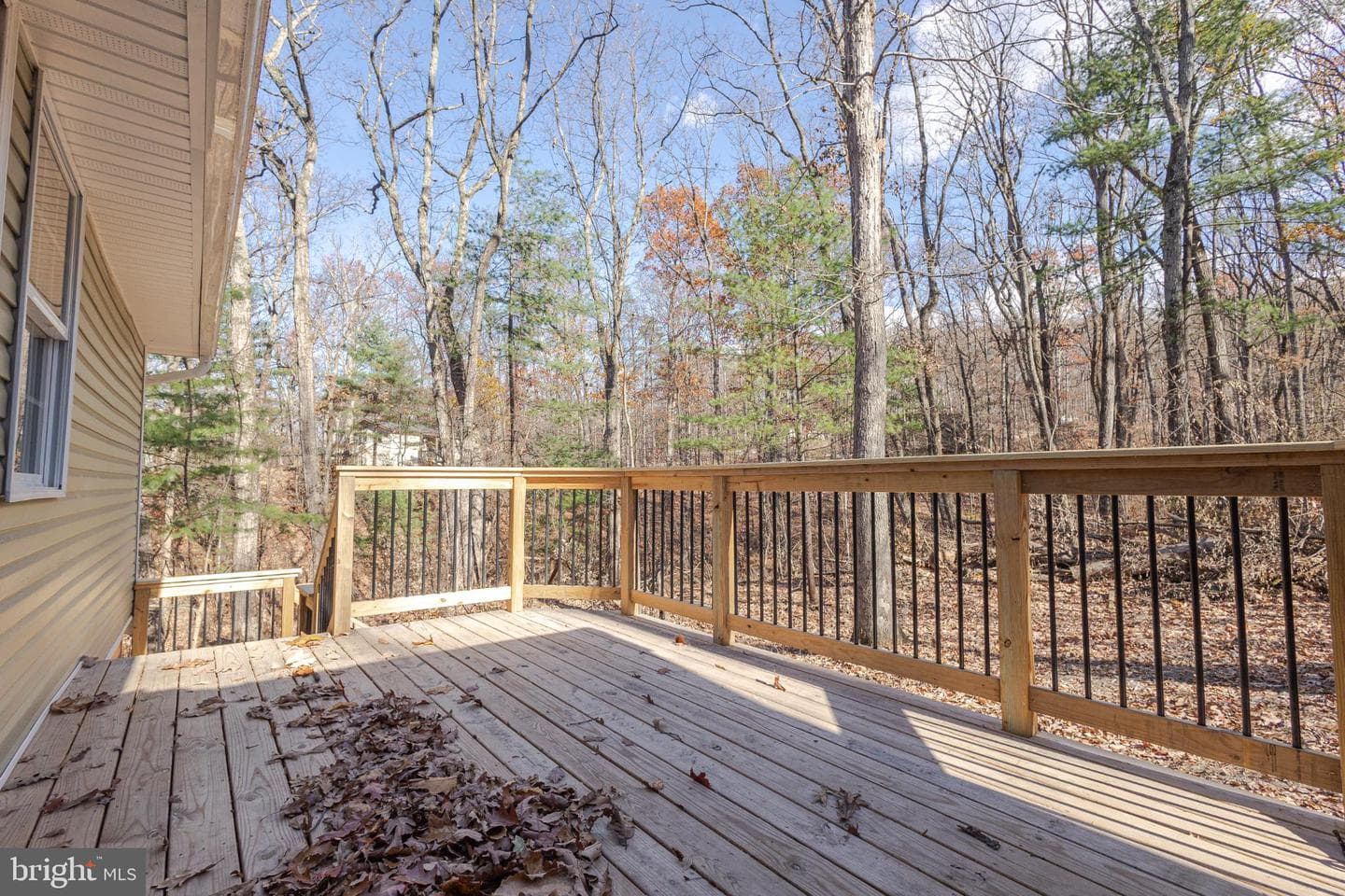 56 Chipmunk Lane photo 22