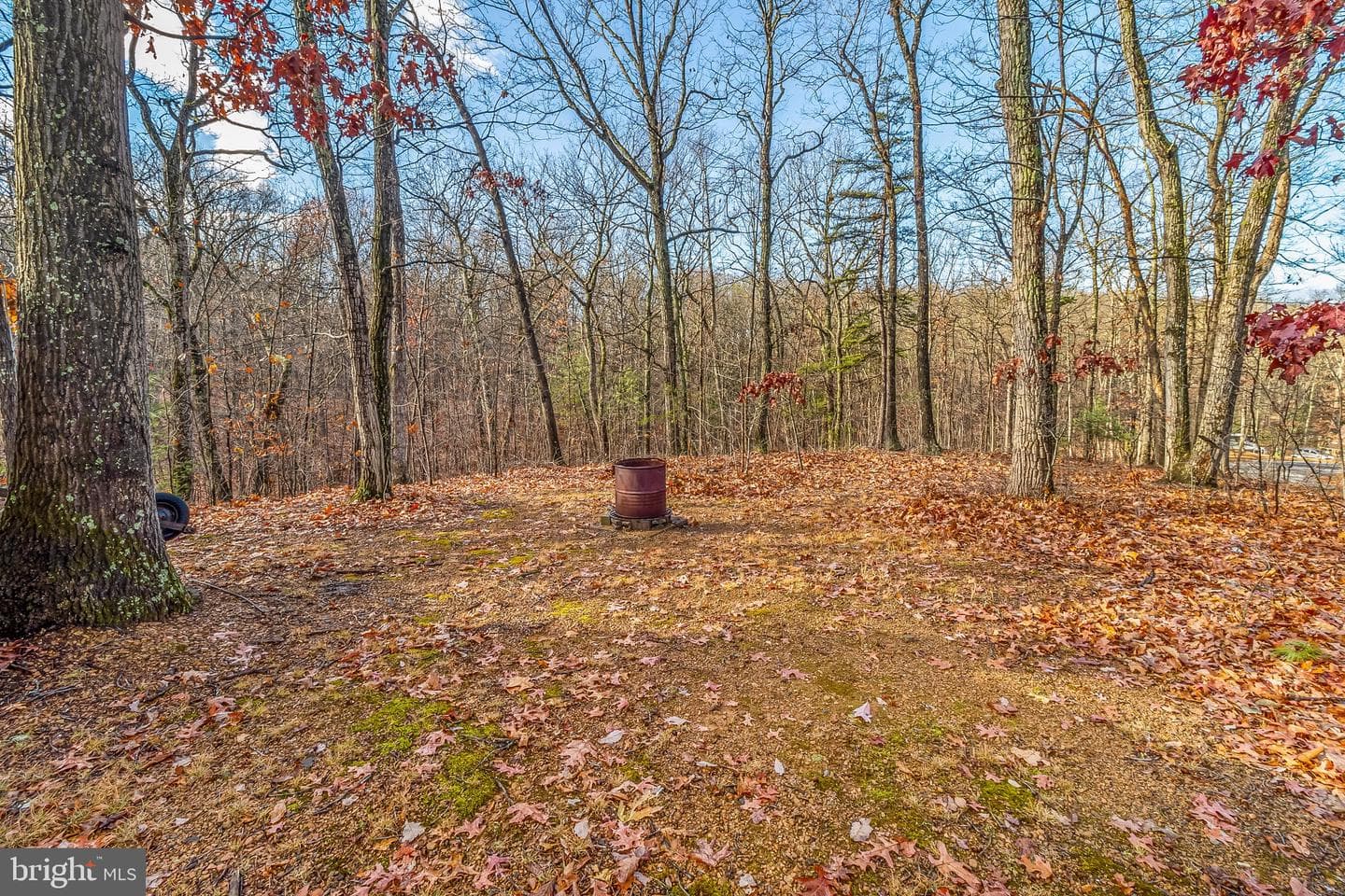 83 Pale Magnolia Drive photo 35