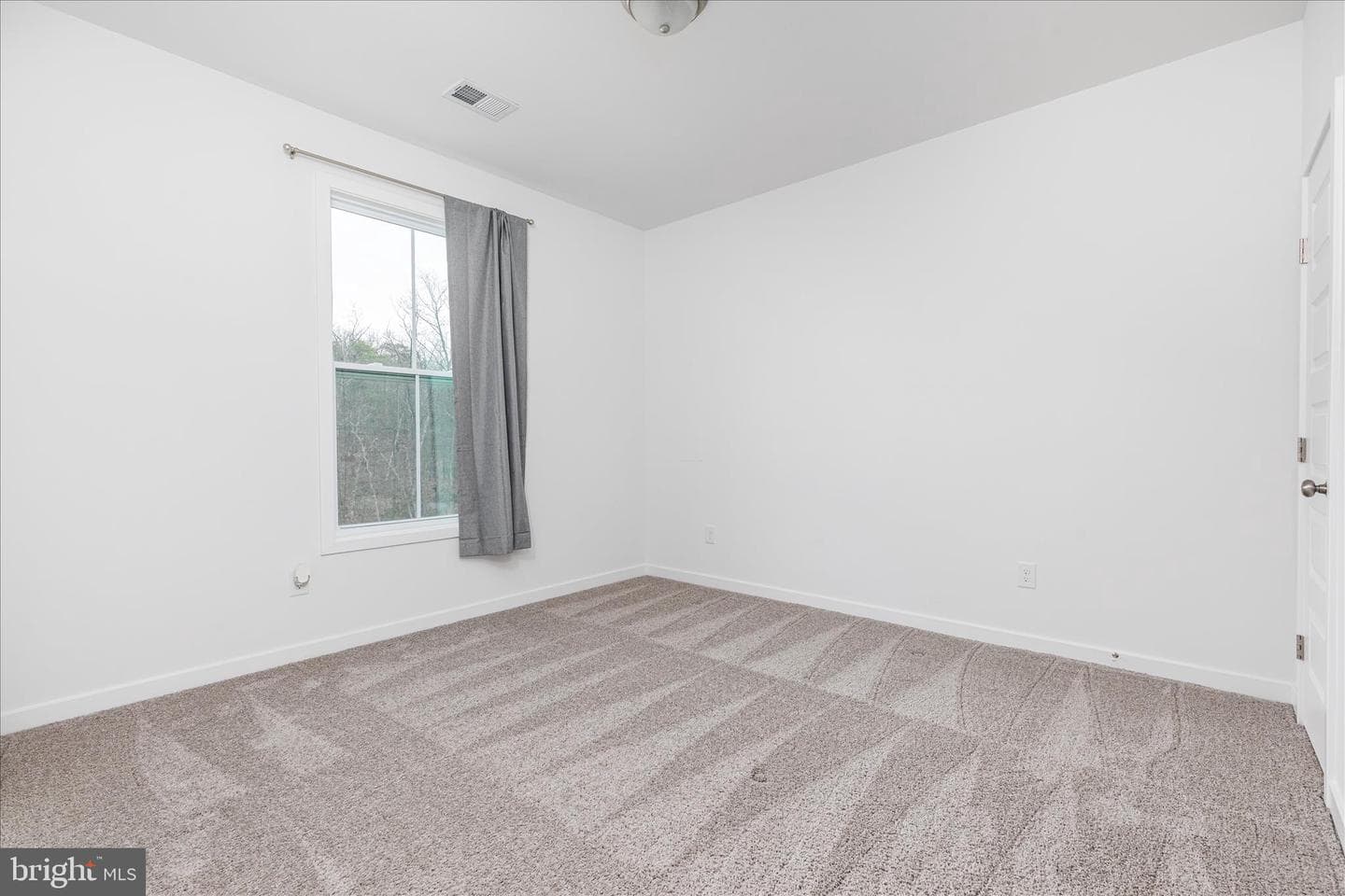 86 Cilantro Lane photo 23
