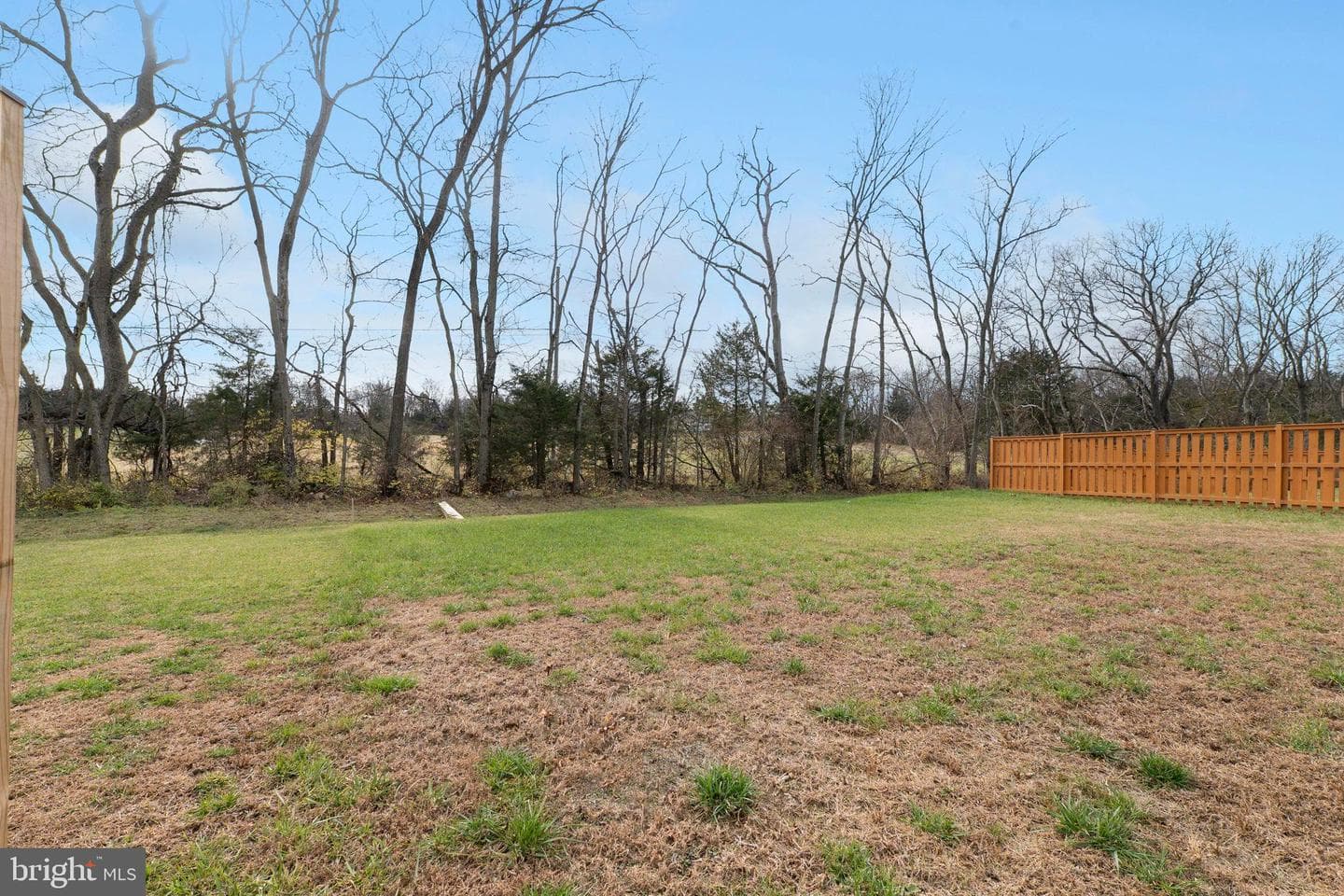 74 Colchester Court photo 33