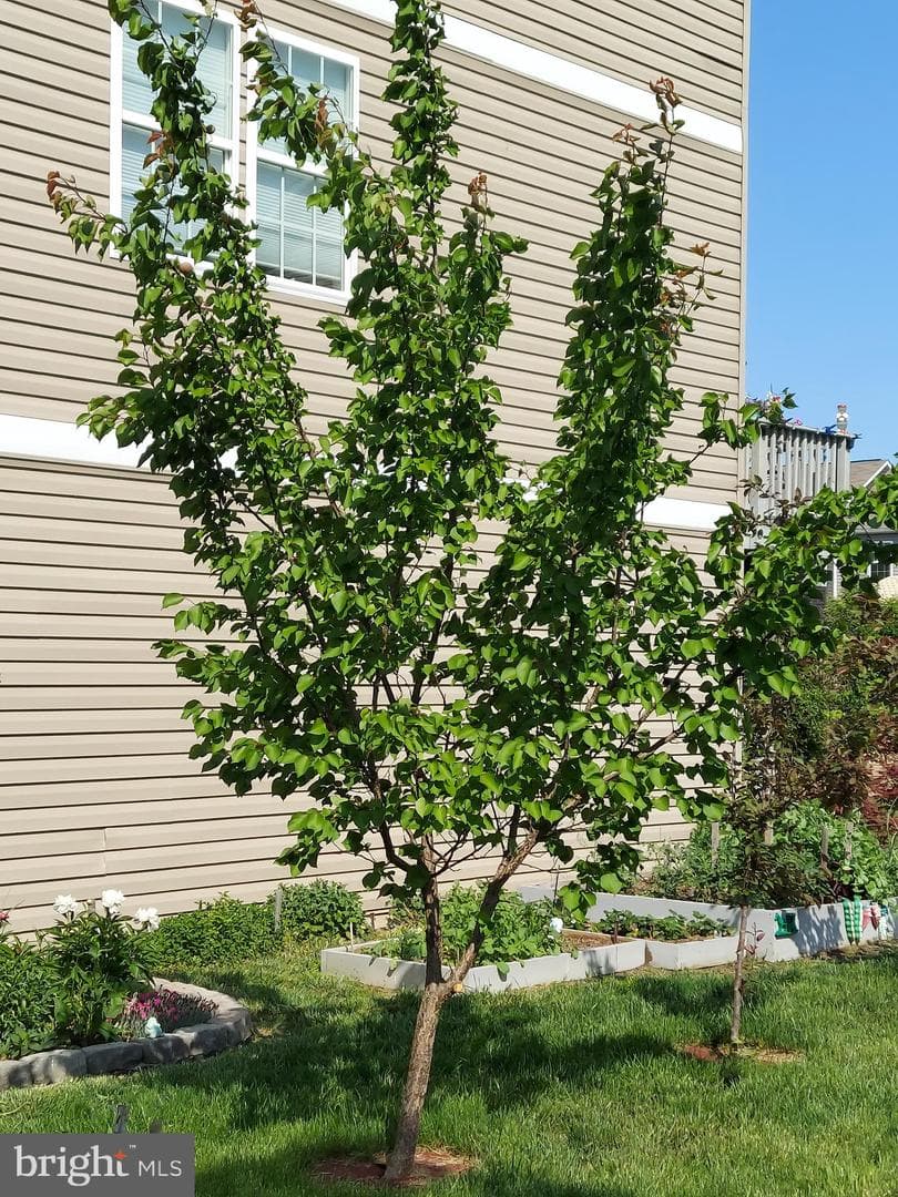 134 Drexel Court photo 41