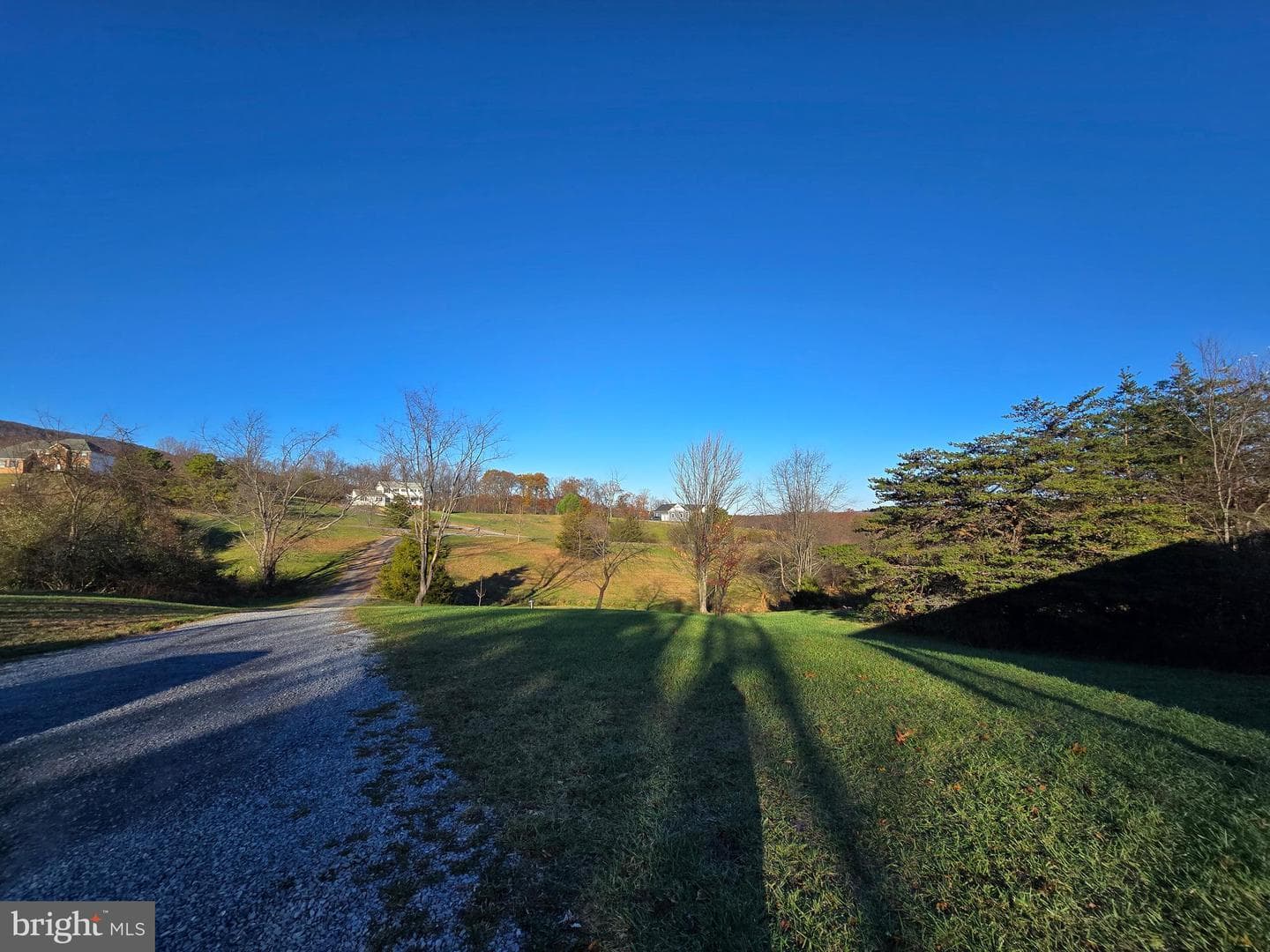 135 Hershel Lane photo 46
