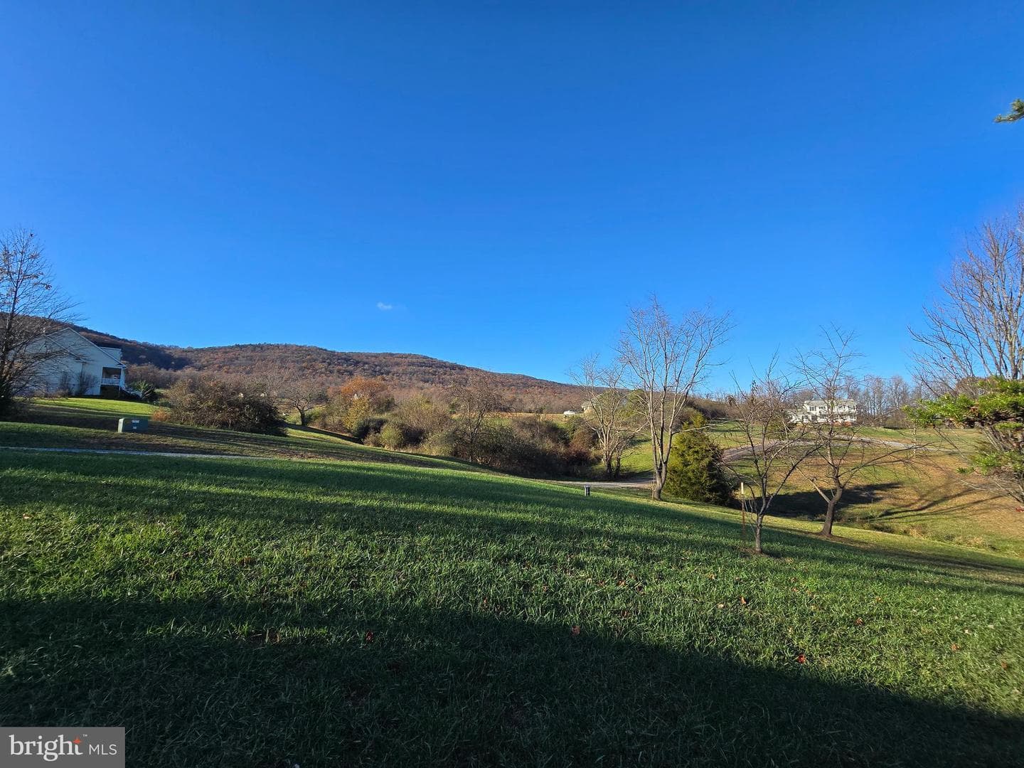 135 Hershel Lane photo 47