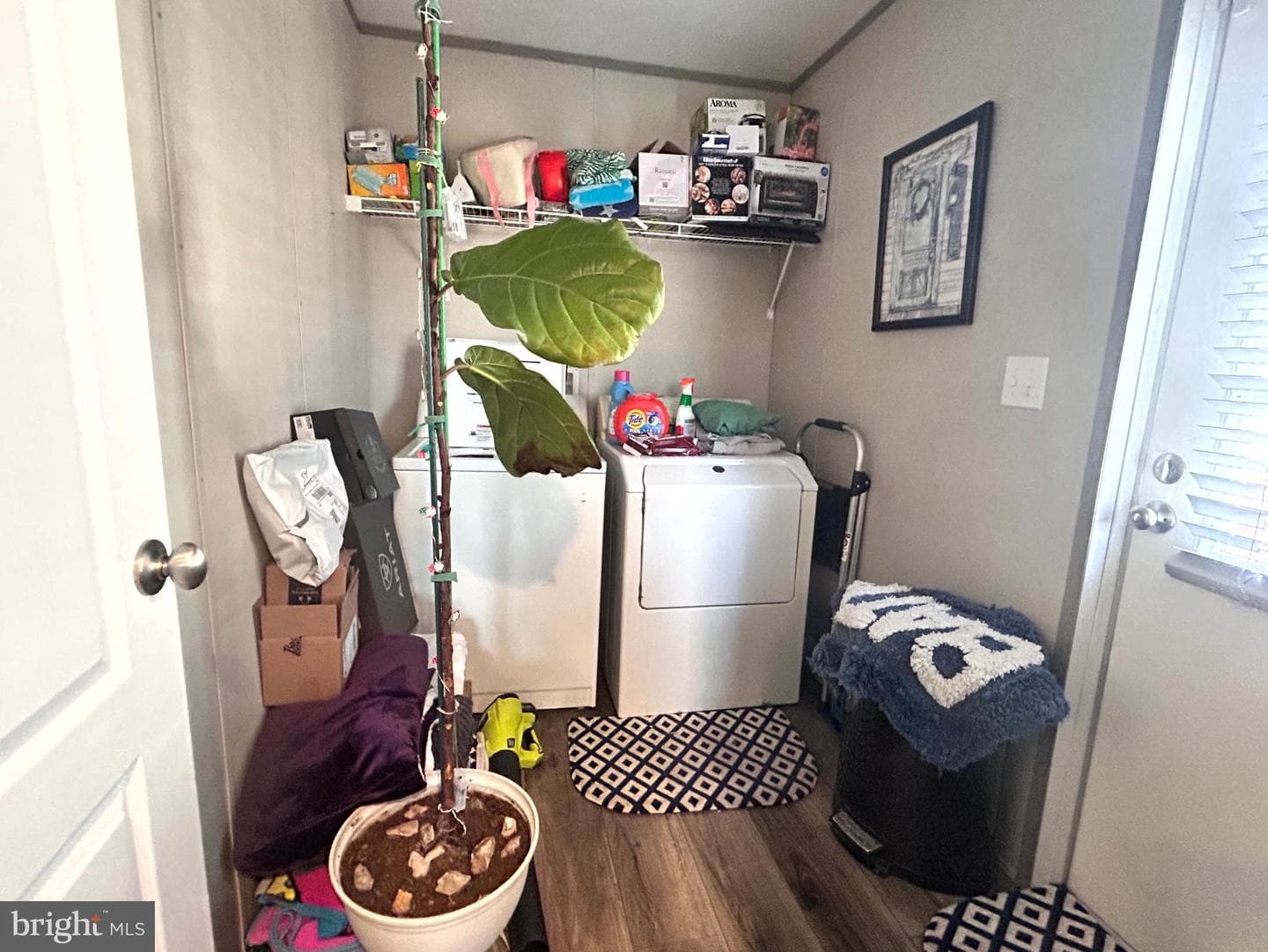 491 Trimble Avenue photo 37