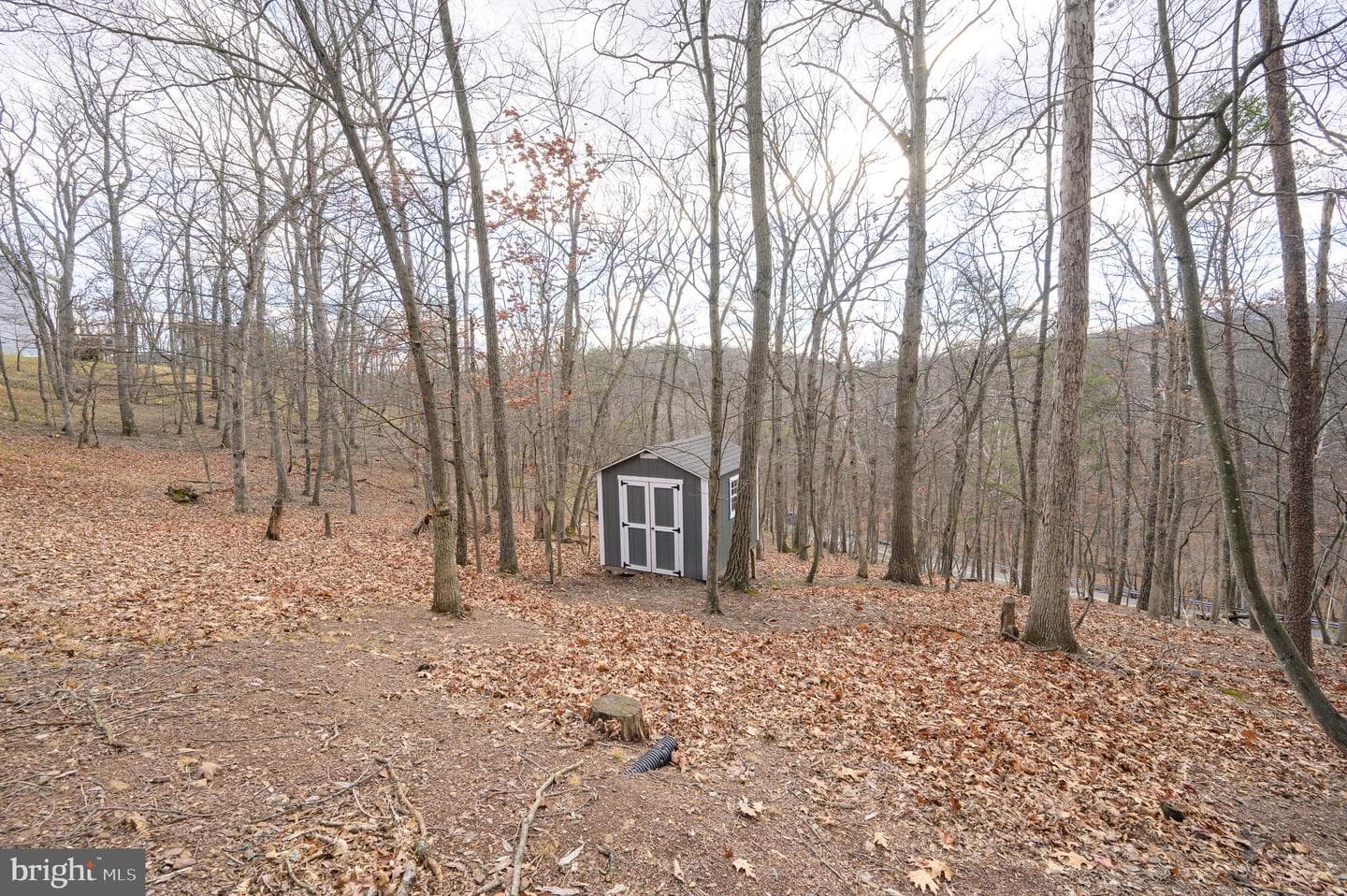 166 Nemacolin Trail photo 54