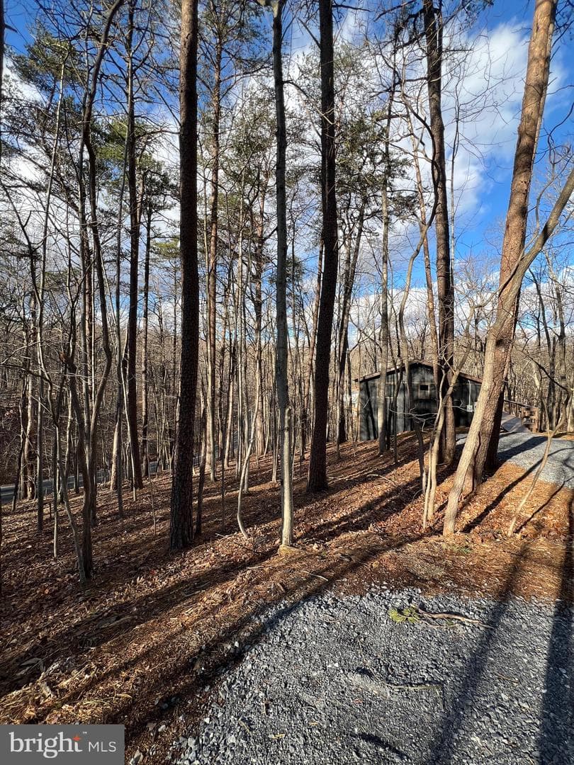 23 Chief Cornstalk Trail photo 3