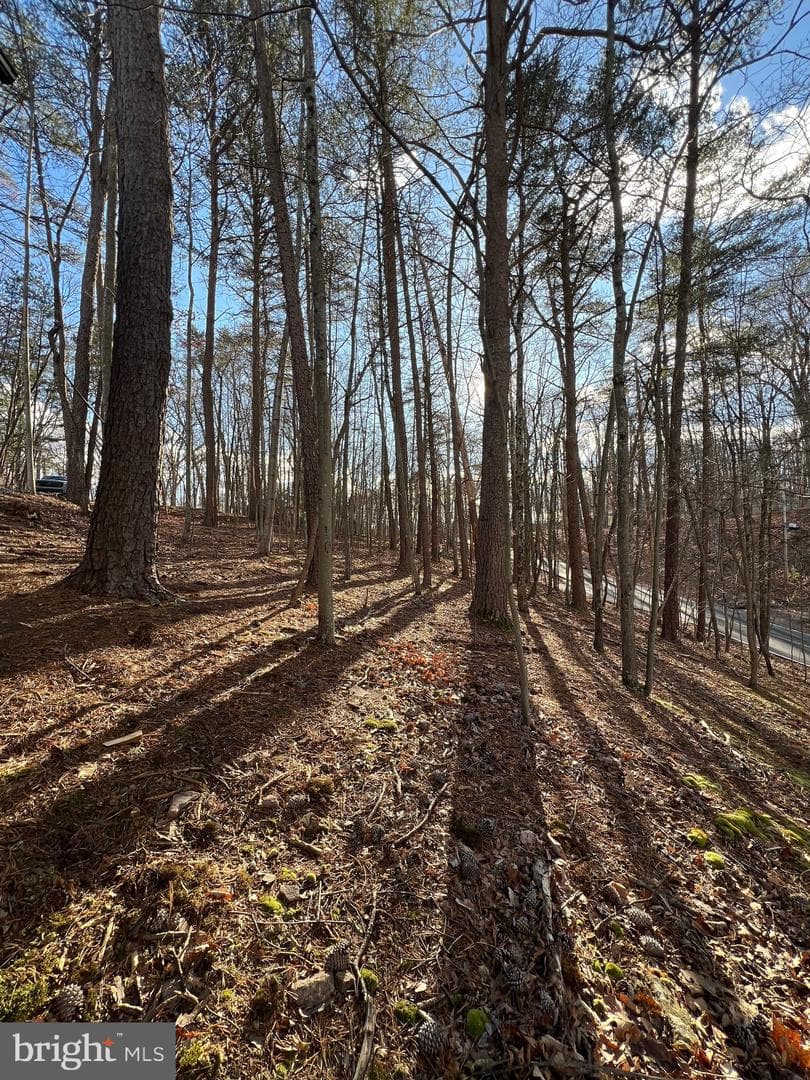 23 Chief Cornstalk Trail photo 41