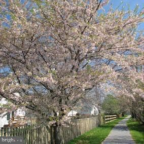 14 Ambler Lane photo 28