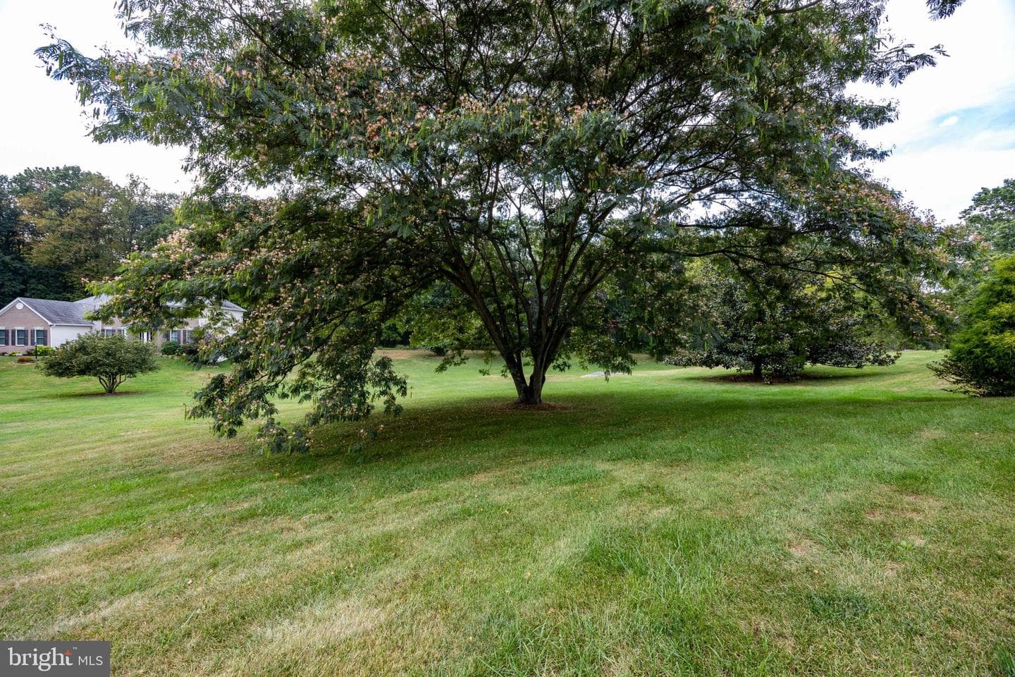 525 Appian Way photo 25