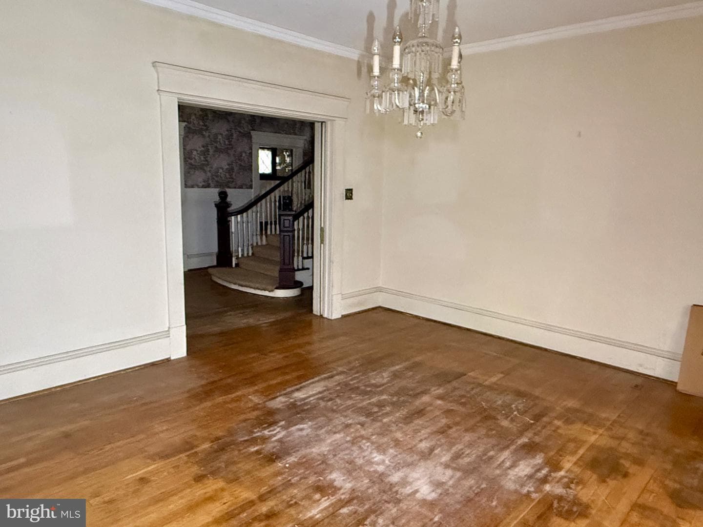 1017 Winchester Avenue photo 18