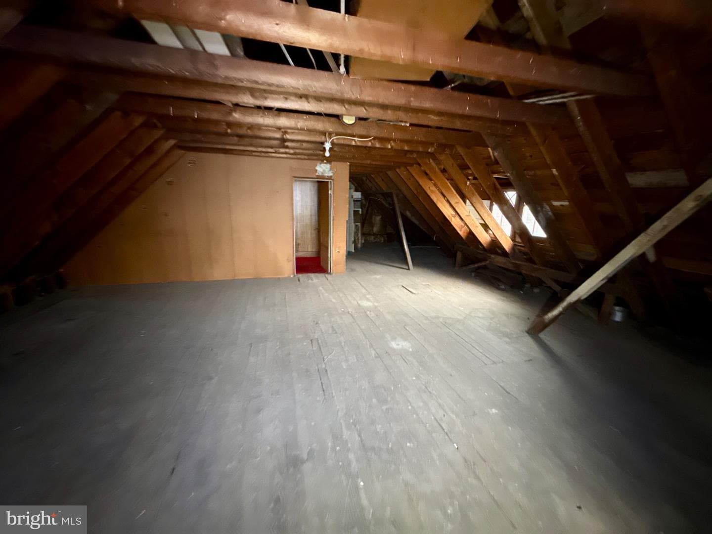 1017 Winchester Avenue photo 36