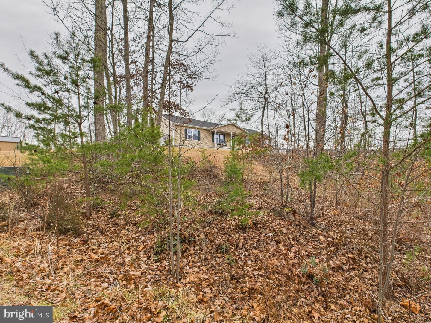886 Pale Magnolia Drive photo 53