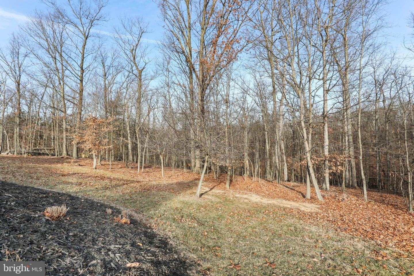 101 Trout River Terrace photo 49