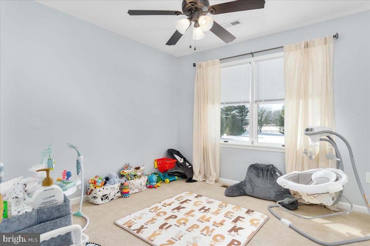293 Quaint Swan Dale Drive photo 24