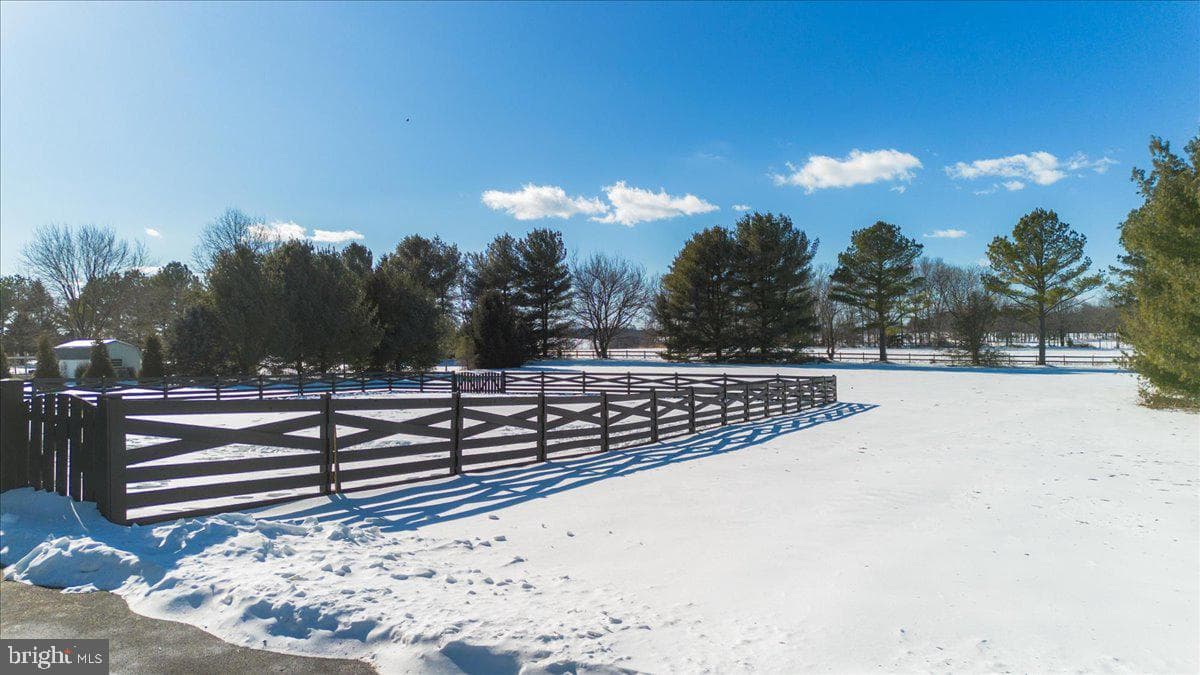 293 Quaint Swan Dale Drive photo 36