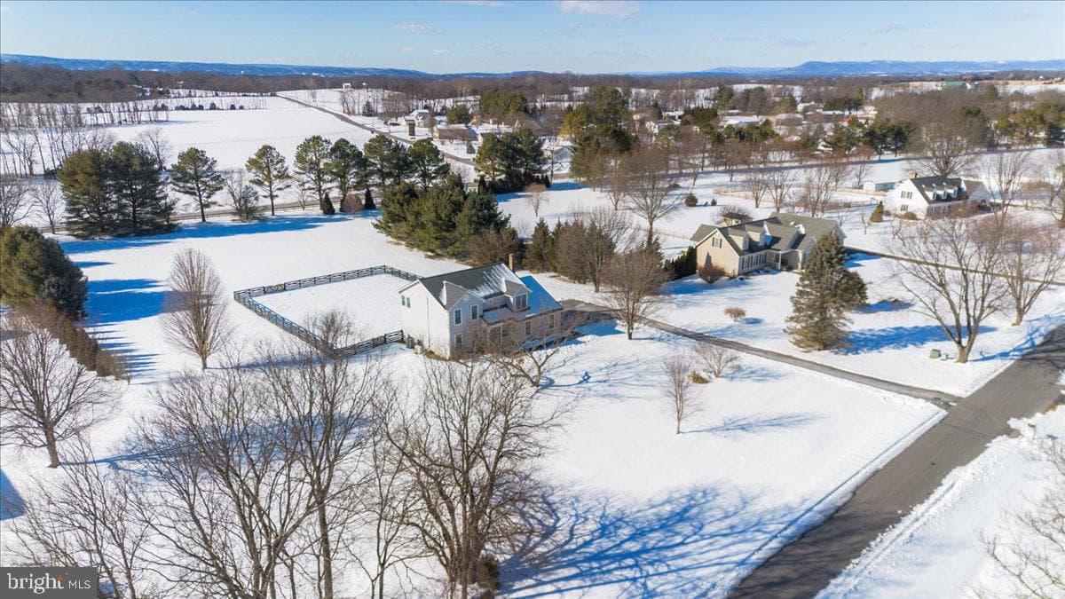 293 Quaint Swan Dale Drive photo 38