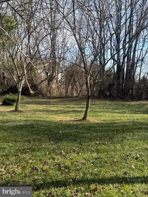 133 Victoria Drive photo 27