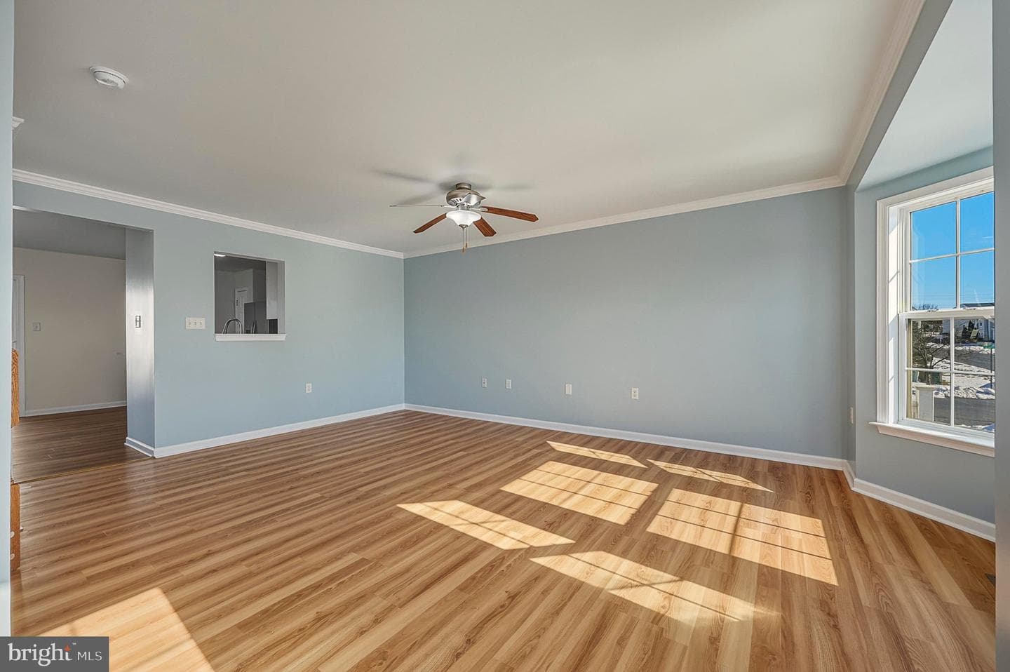 115 Veronica Drive photo 17