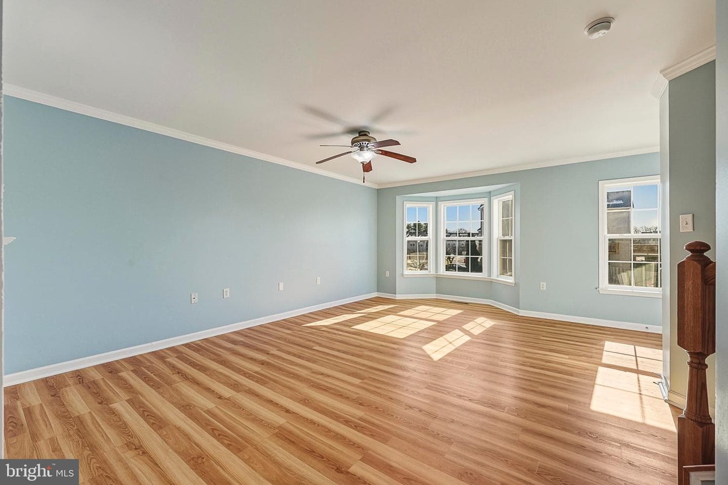 115 Veronica Drive photo 21