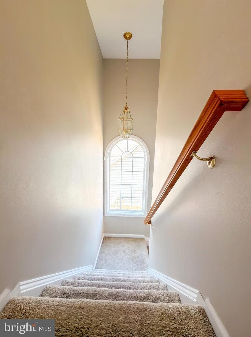173 Bunting Avenue photo 11