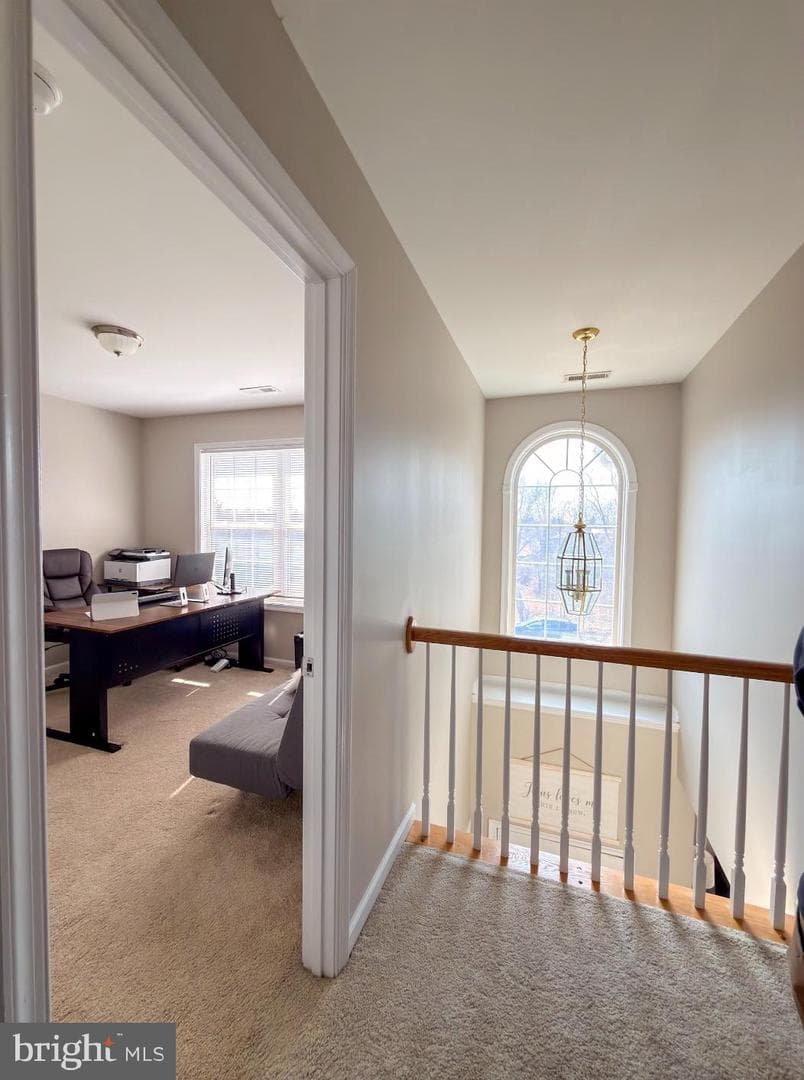 173 Bunting Avenue photo 12