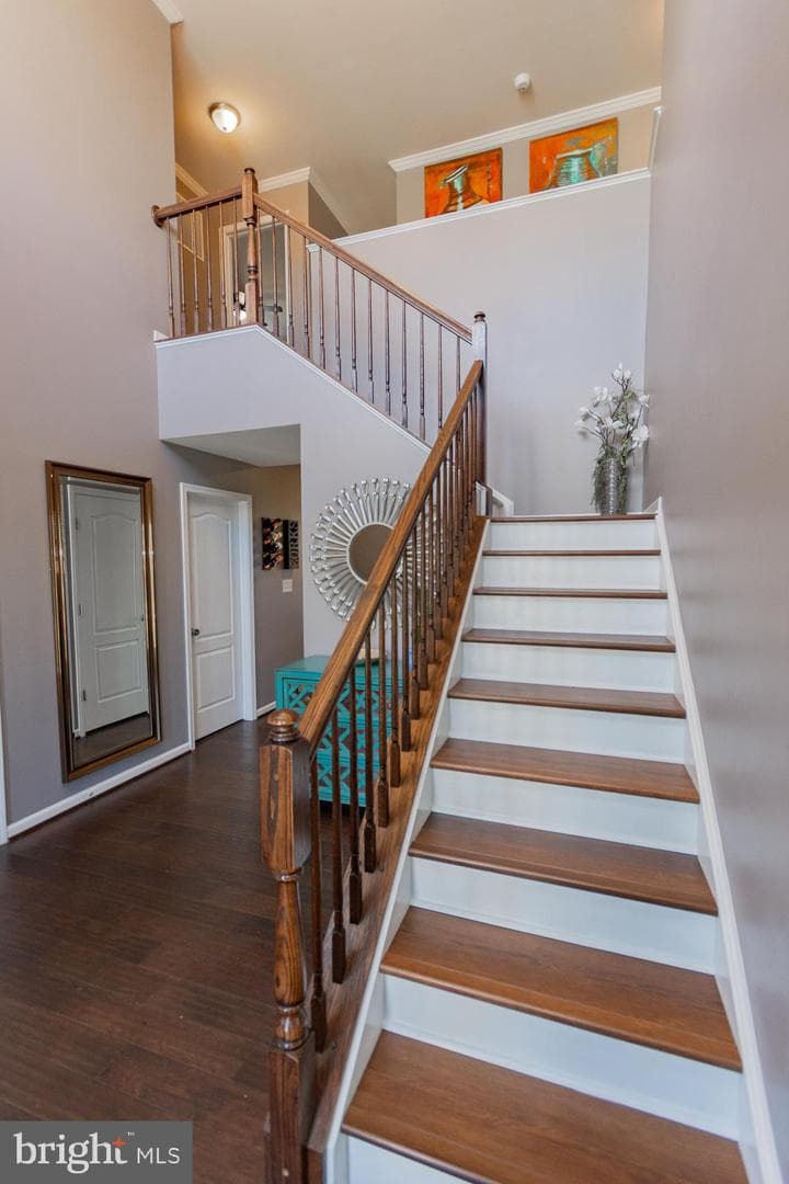 104 Daintree Drive photo 40