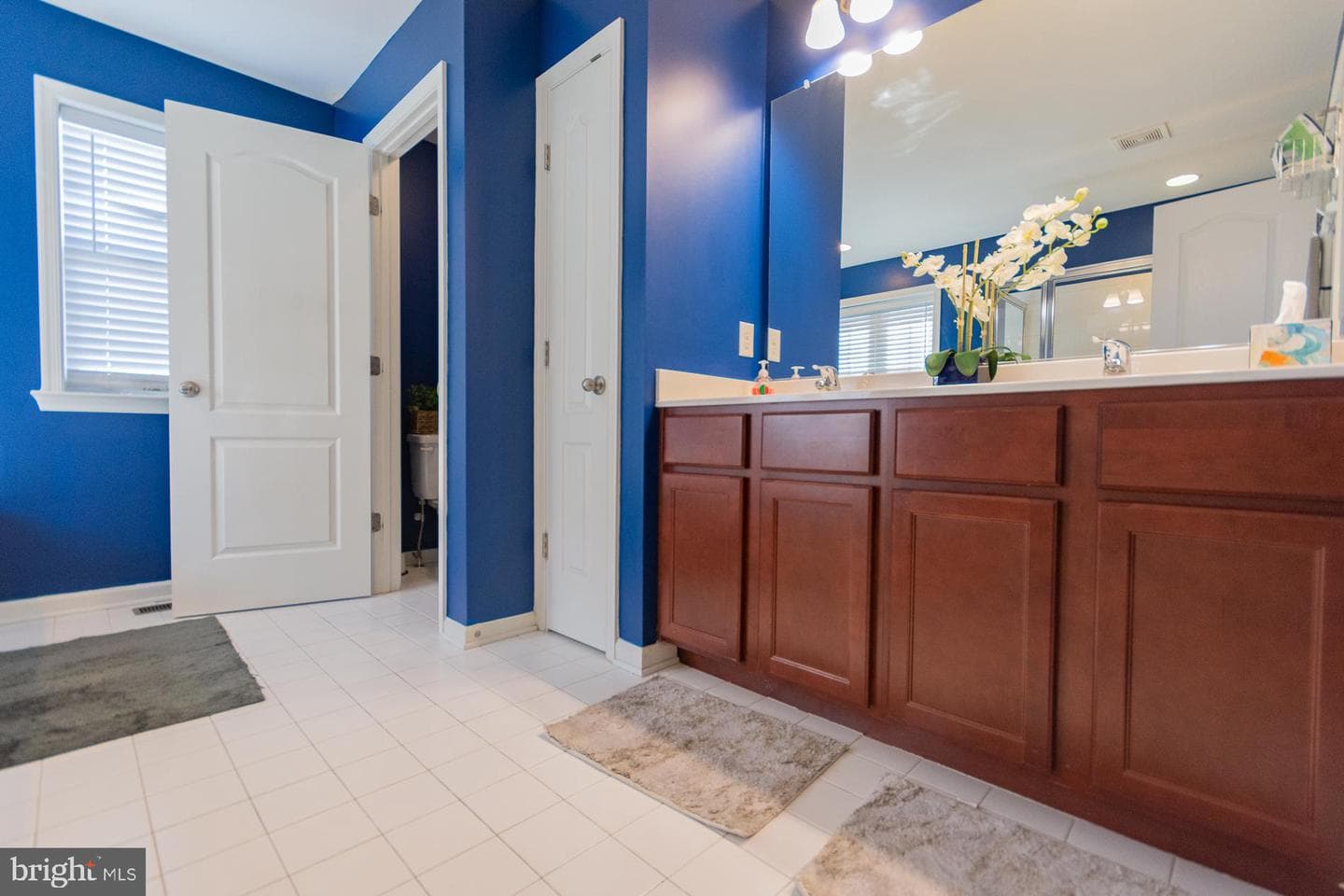 104 Daintree Drive photo 45