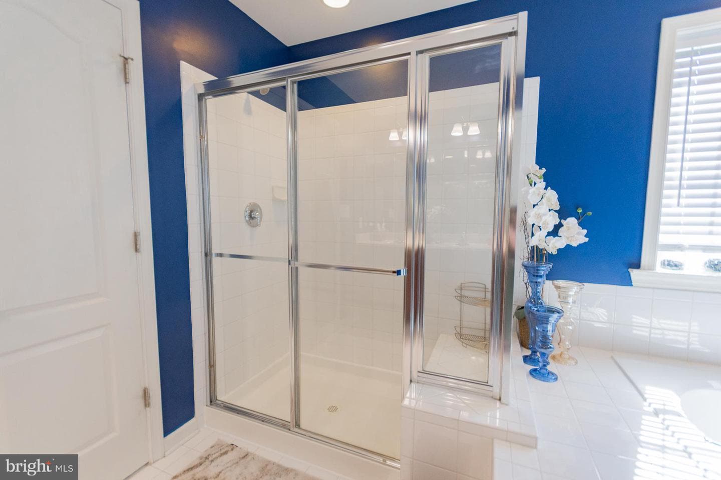 104 Daintree Drive photo 49