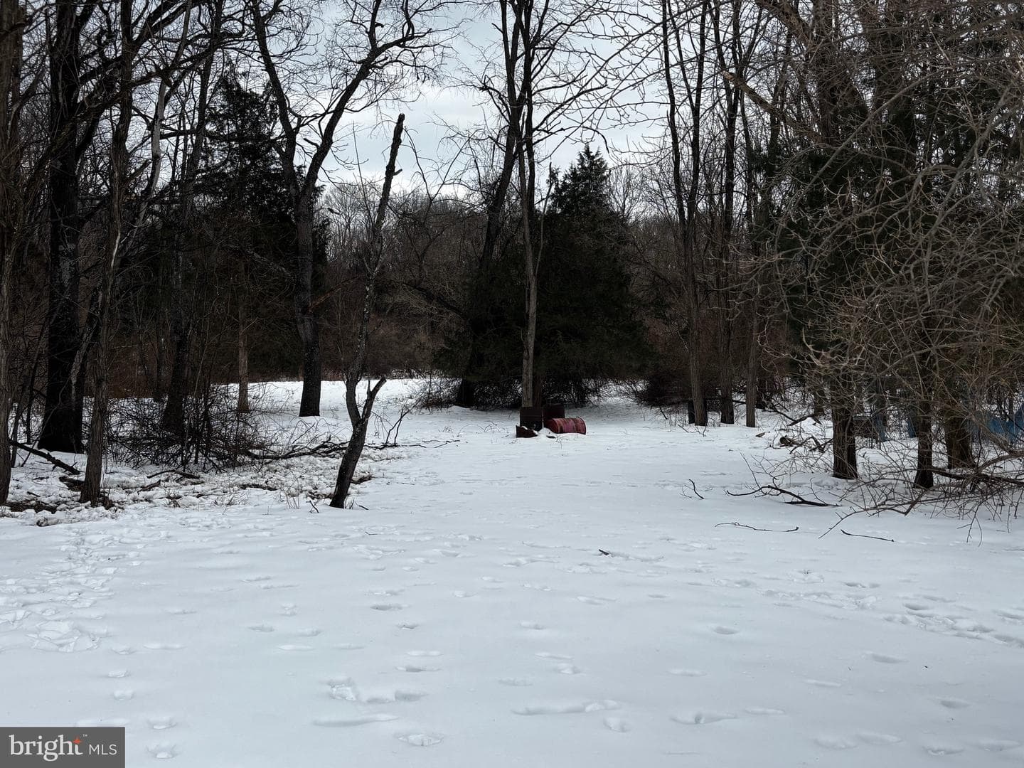 224 Ditto Farm photo 29