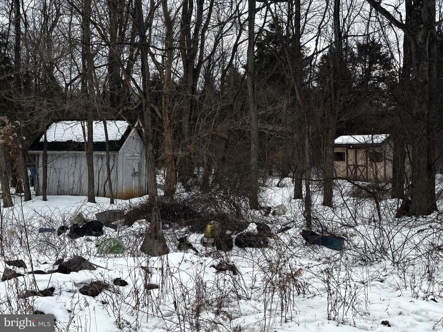 224 Ditto Farm photo 30