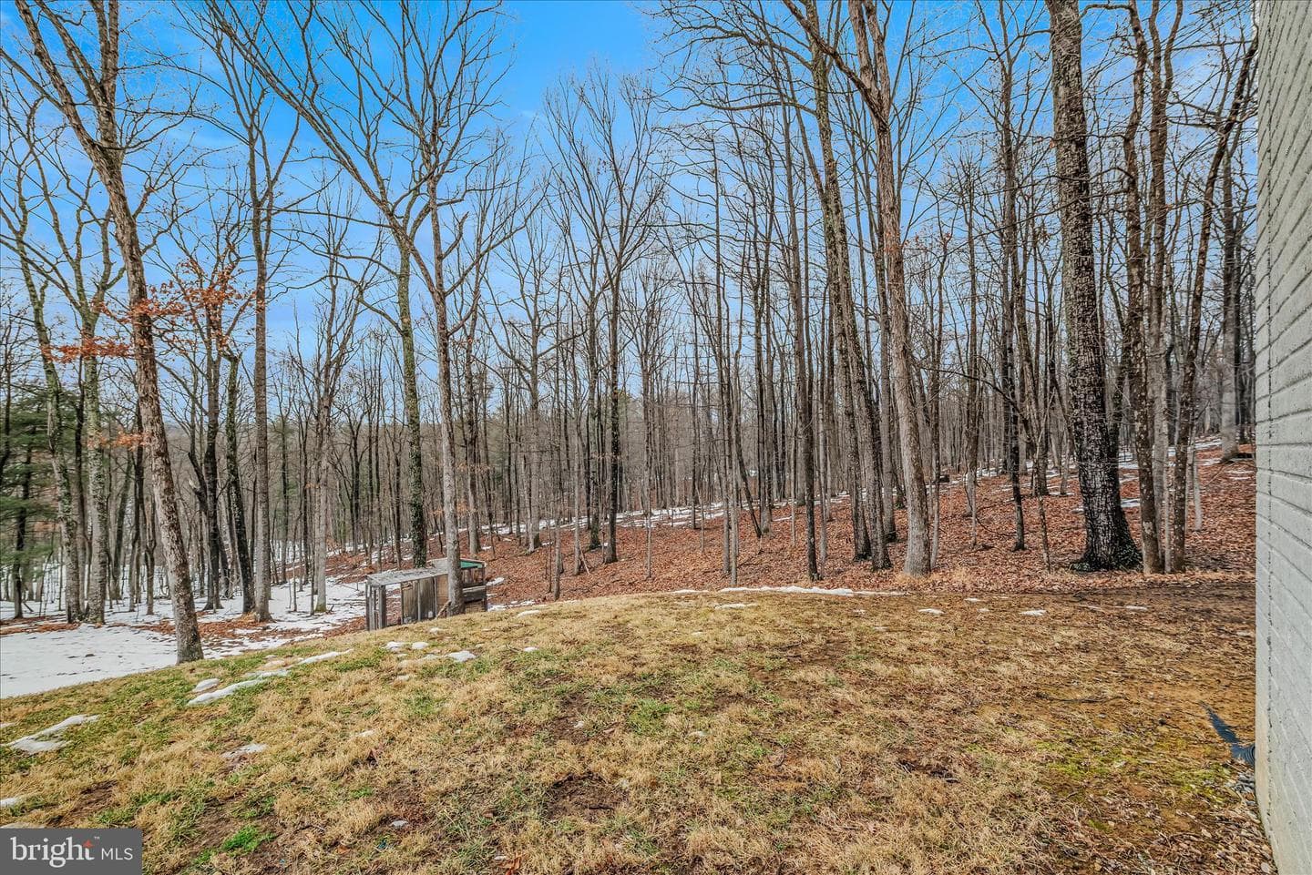 242 Driftwood Drive photo 48