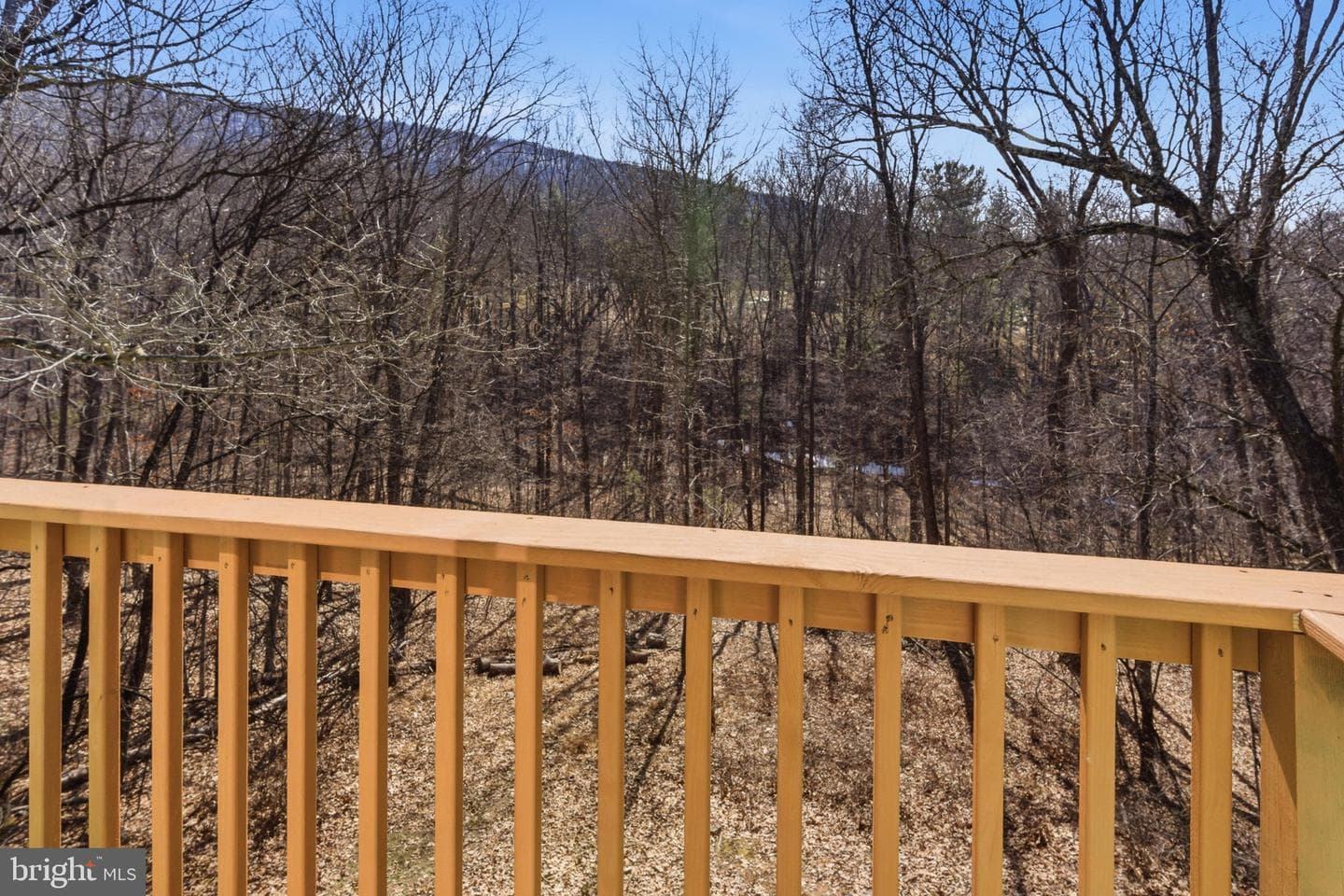 77 Tall Pine Lane photo 36
