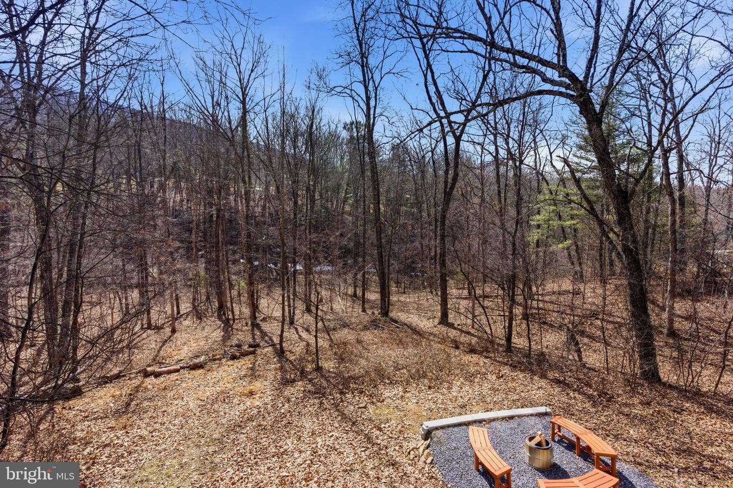 77 Tall Pine Lane photo 8