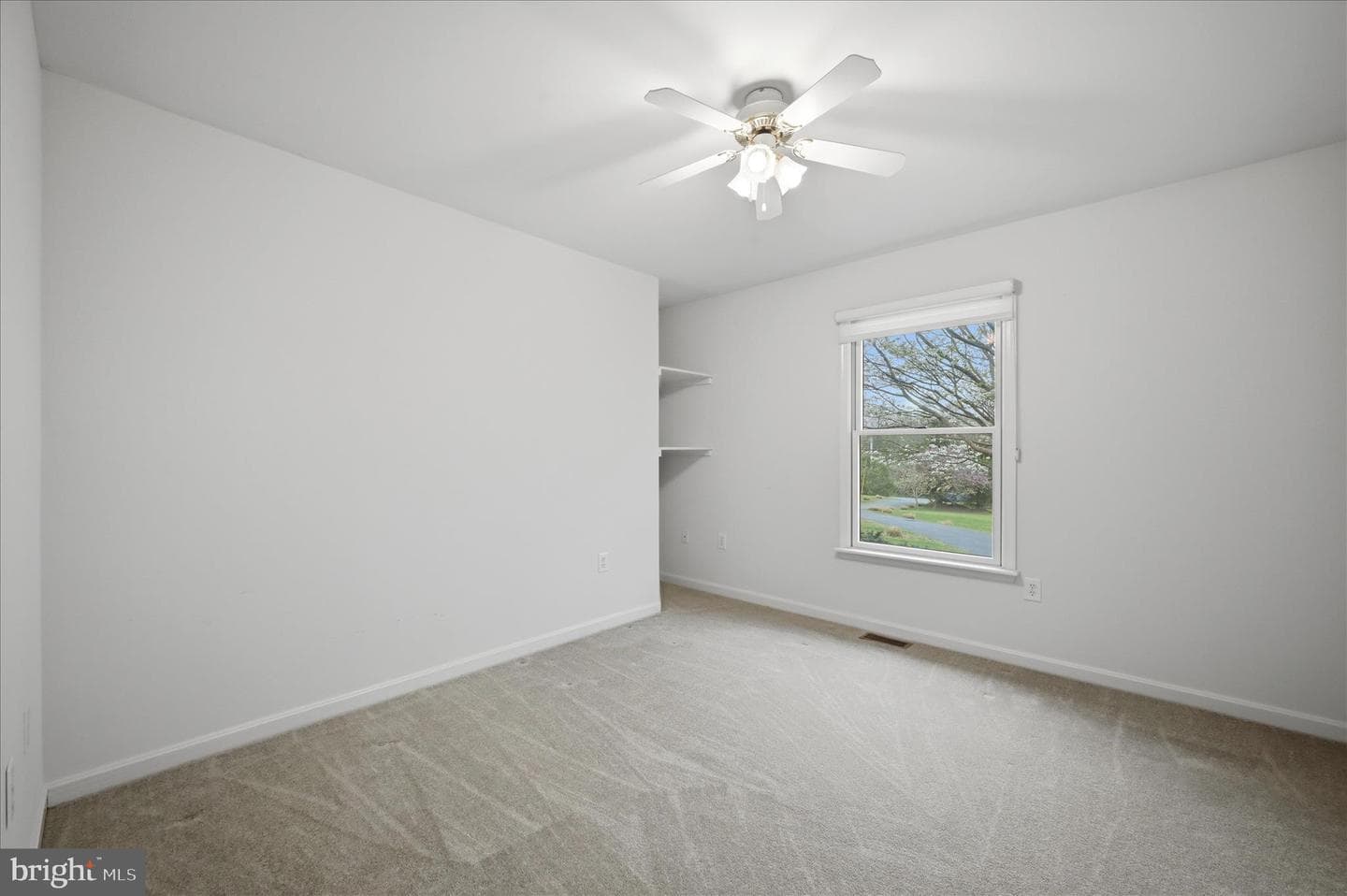 238 Comstock Drive photo 25