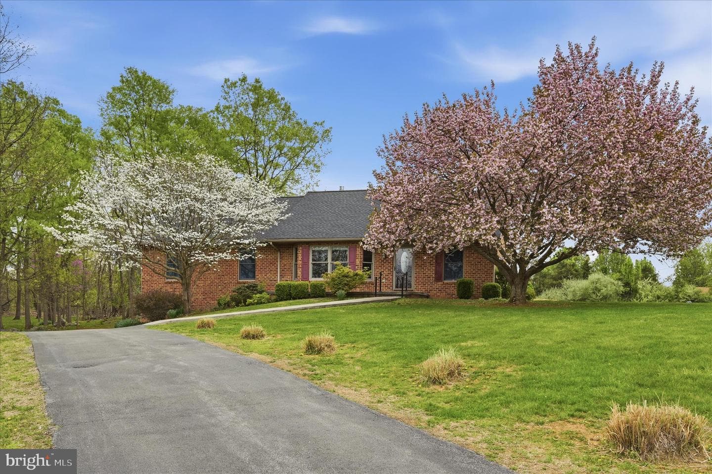 238 Comstock Drive photo 46