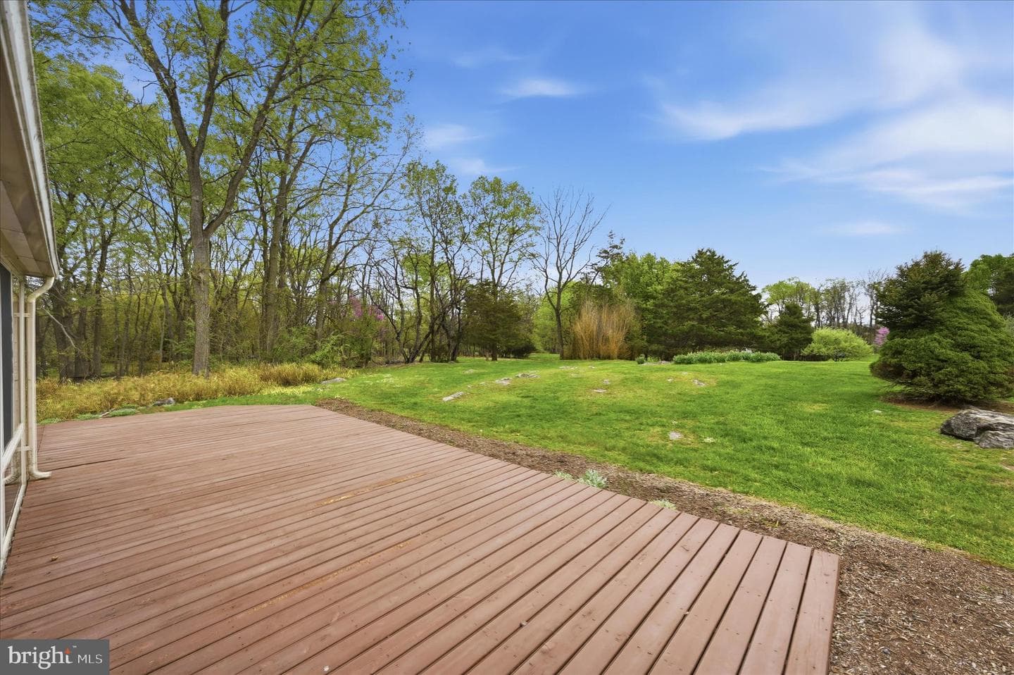238 Comstock Drive photo 50