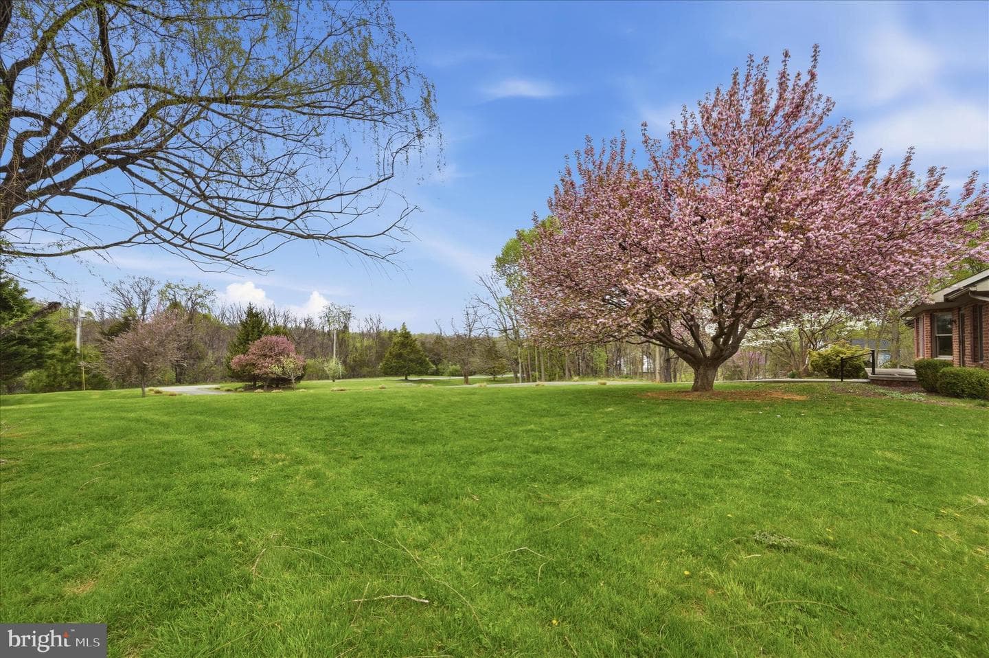 238 Comstock Drive photo 52