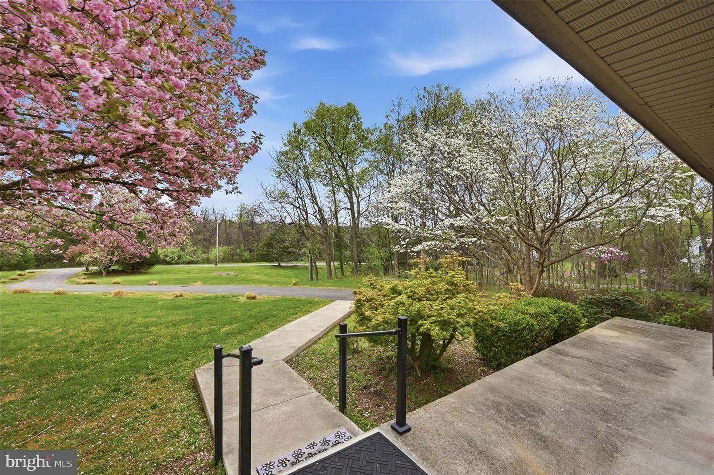 238 Comstock Drive photo 6