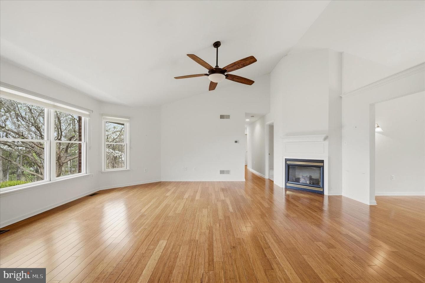238 Comstock Drive photo 8