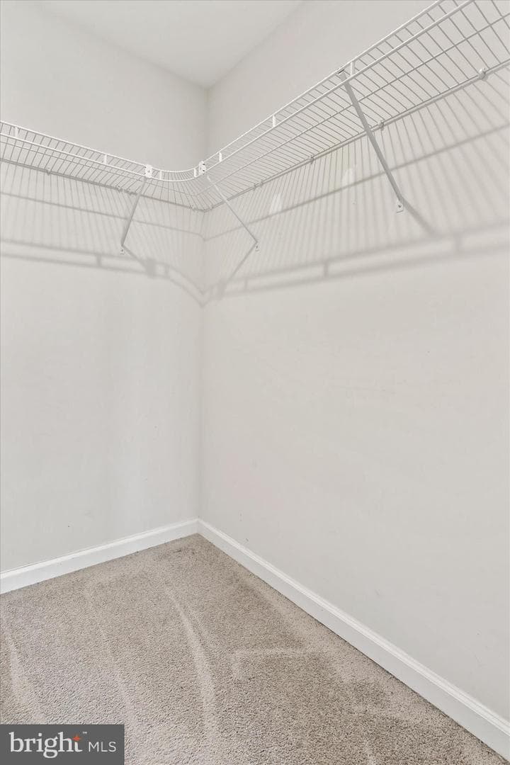 105 Whippet Court photo 13