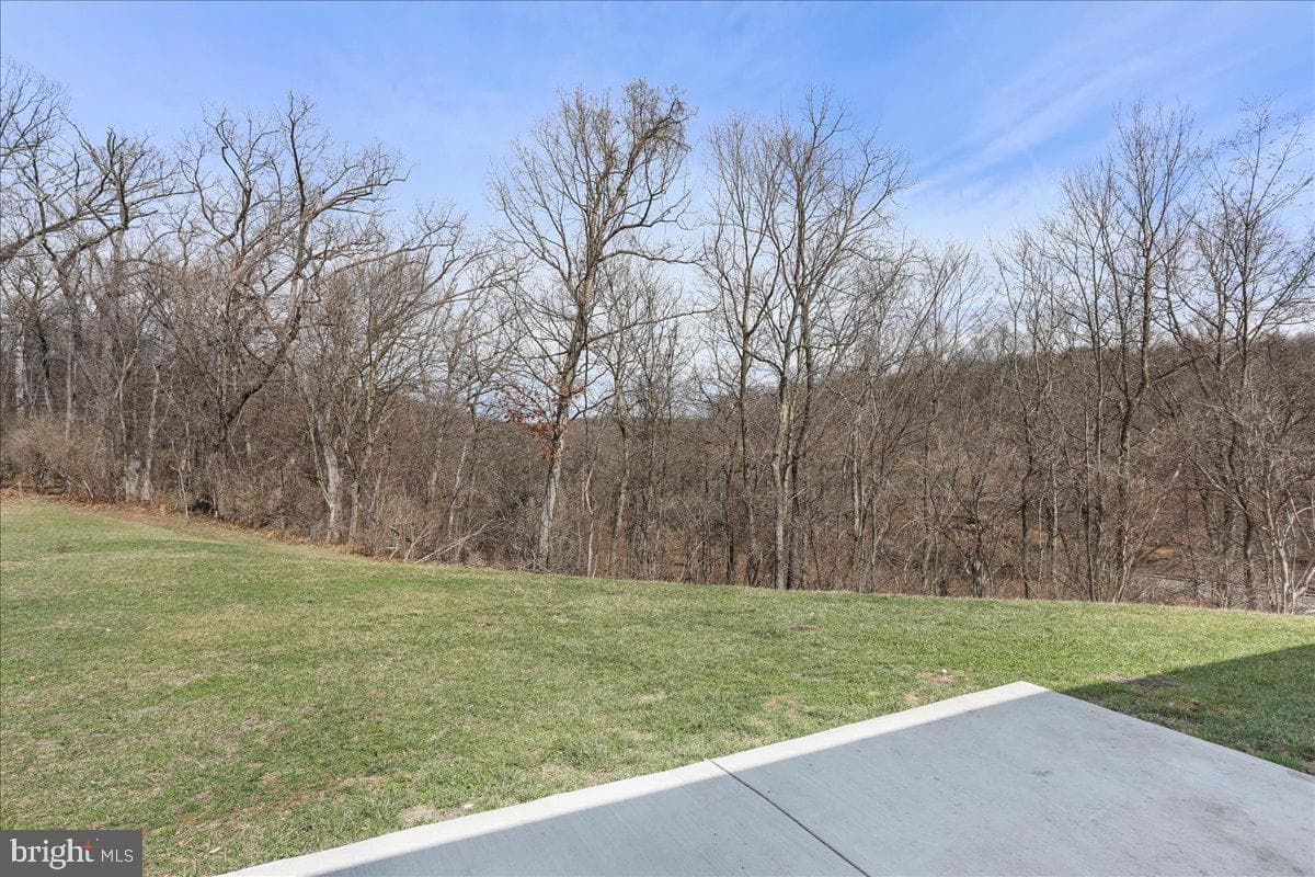 105 Whippet Court photo 22