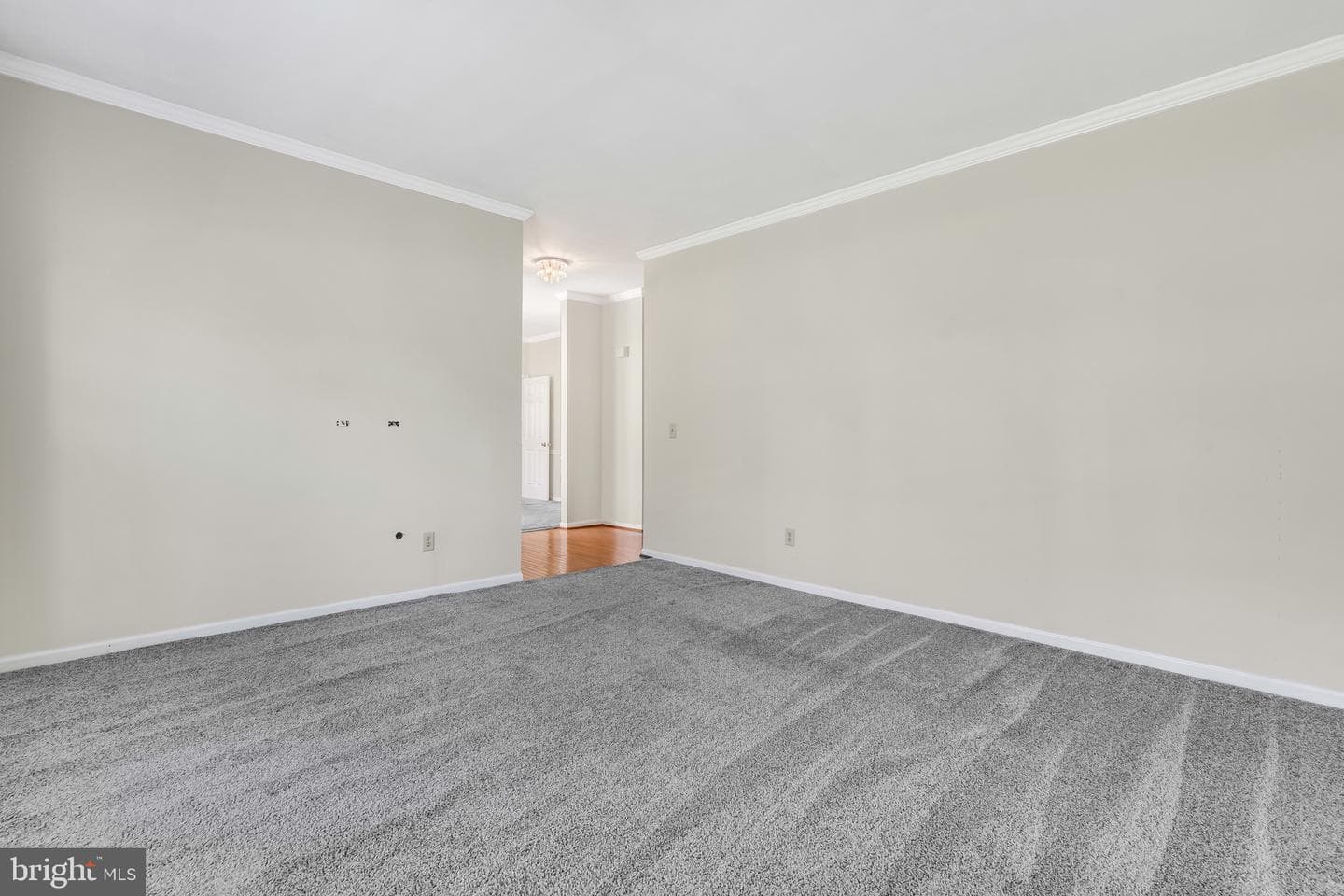 293 Pastoral Court photo 12