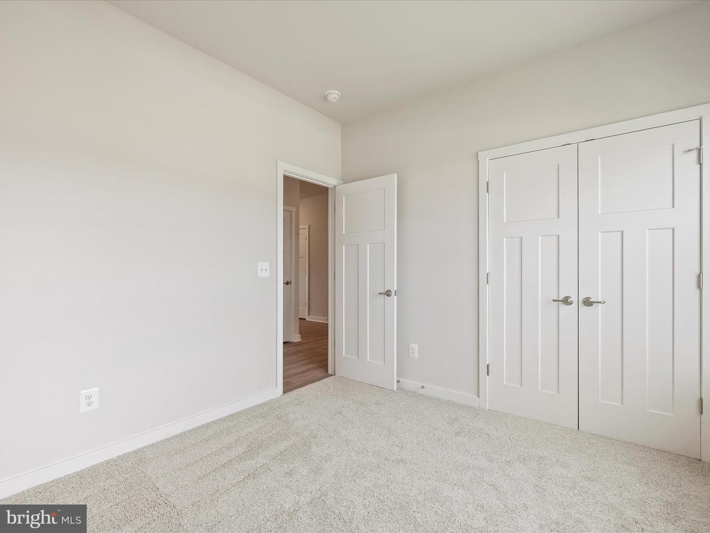 262 Quillworth Road photo 23